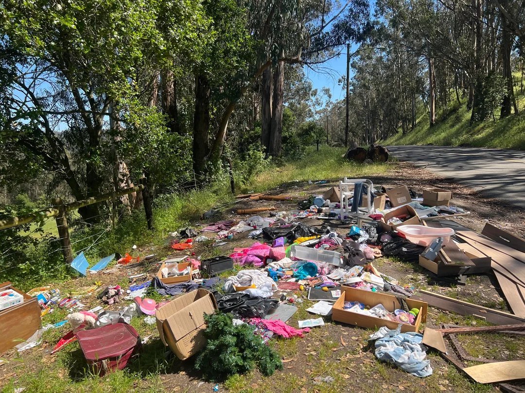 Scattered illegally-dumped furniture and debris along a roadside before cleanup
